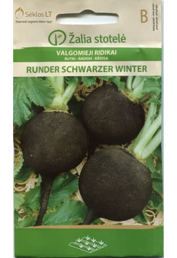 Winter radish "Runder Schwarzer Winter"