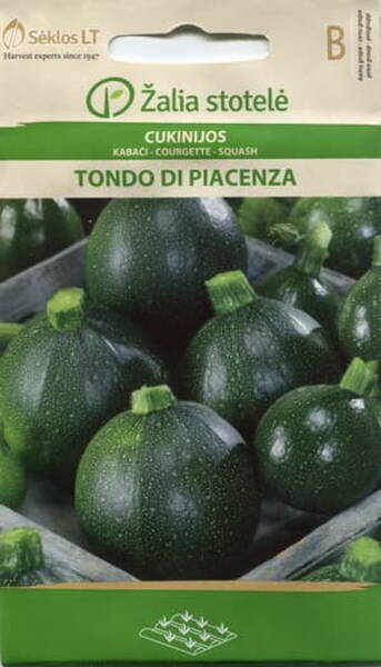 Courgette zucchini "Tondo di Piacenza"