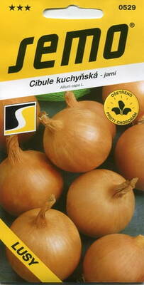 Onion "Lusy"