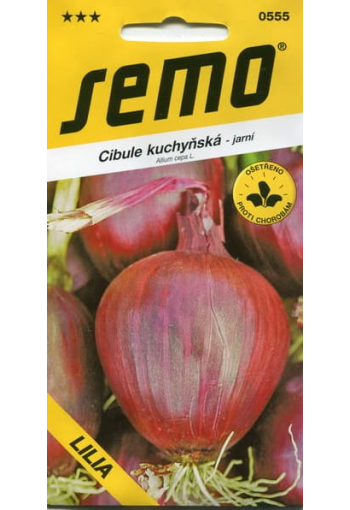 Vernal onion "Lilia"
