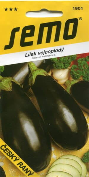 Aubergine "Cesky Rany"