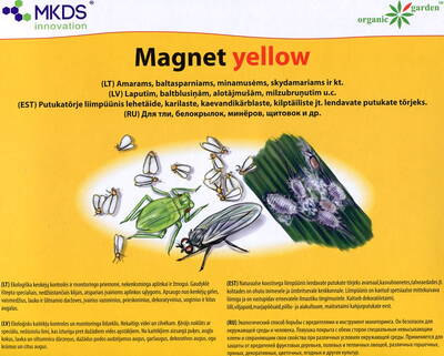 Liimpüünis "Magnet Yellow" (Capcane de culoare)