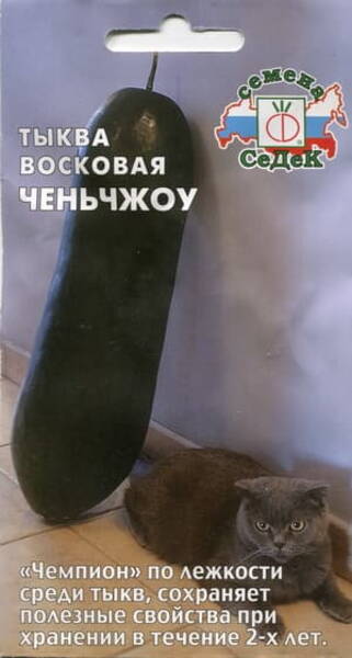 Тыква восковая "Ченьчжоу" (Benincasa hispida)