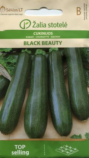 Courgette Zucchini "Black Beauty"