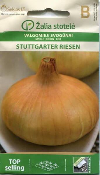 Kepasipuli "Stuttgarten Riesen"