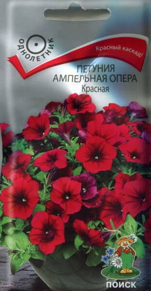 Petunia "Opera Suprime Red" F1 Petunia "Opera Suprime Red" F1