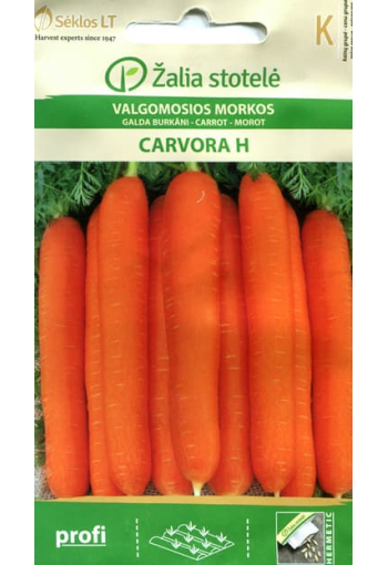 Carrot "Carvora" F1