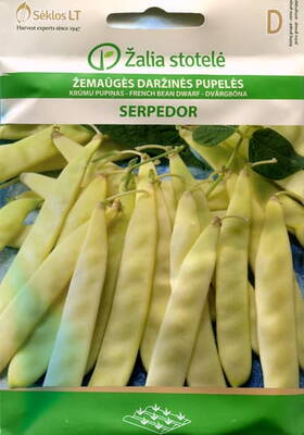 Dwarf French Bean "Serpedor"