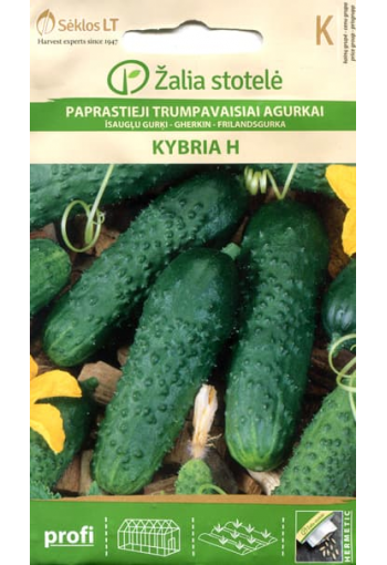 Cucumber "Kybria" F1