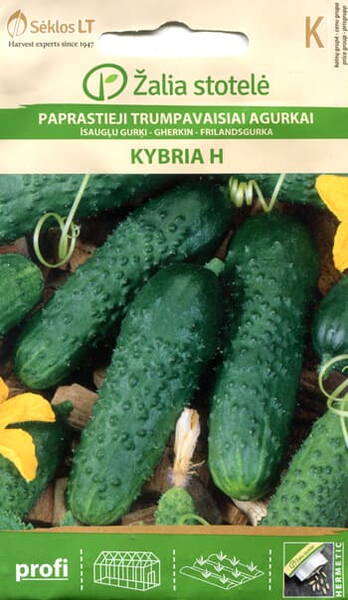 Gurka "Kybria" F1 (100 frön)
