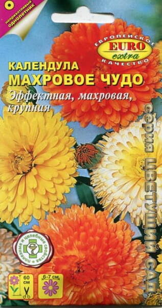 Caléndula "Terry Miracle" (mezcla)