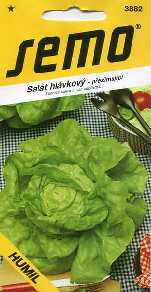 Head lettuce "Humil"