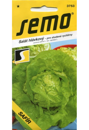 Head lettuce "Safir"
