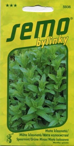 English Mint (Spearmint)