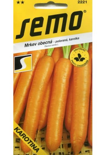 Carrot "Karotina"