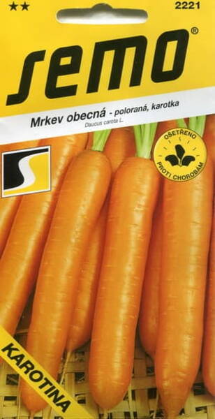 Carrot "Karotina"