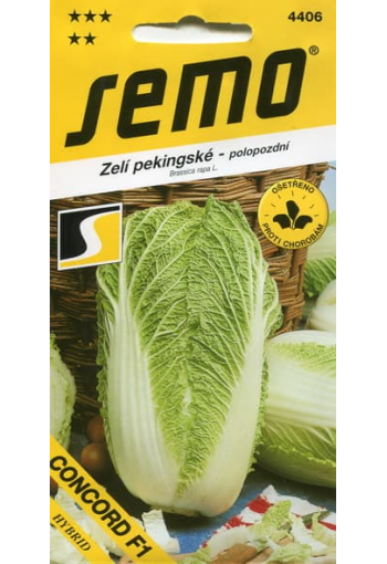 Chinese cabbage "Concord" F1