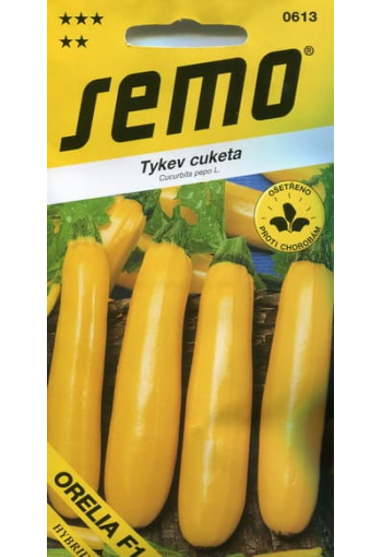 Courgette zucchini "Orelia" F1