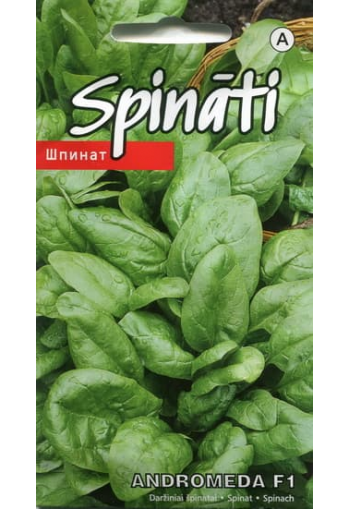 Spinach "Andromeda" F1