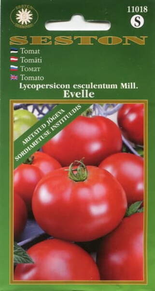 Tomato "Evelle"