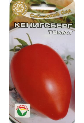 Tomat "Königsberg"