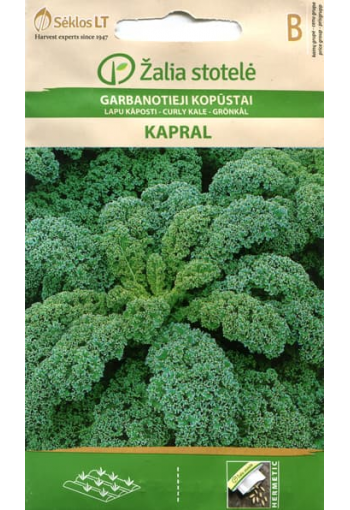Curly kale "Kapral"