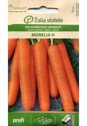 Porkkana "Morelia" F1