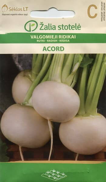 White radish "Acord"