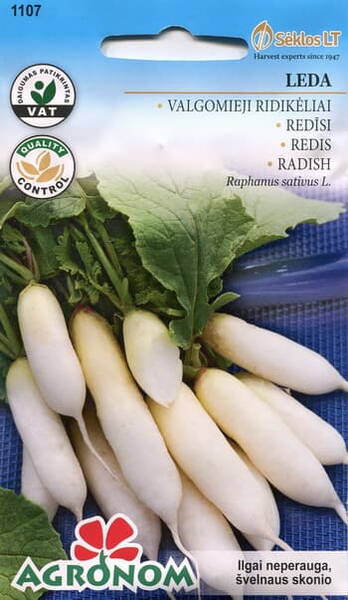 White radish "Leda"