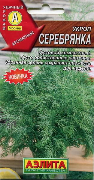 Buschdill "Serebrjanka"