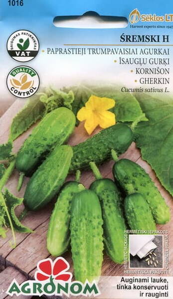 Cucumber "Sremski" F1