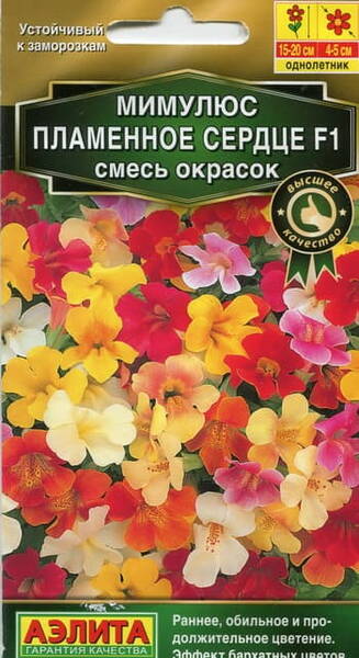 Pärdiklill hübriidne "Plamennoe Serdce" F1 (mix) Mimulus x hybridus