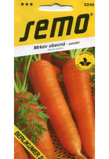 Морковь "Берликумер 2"