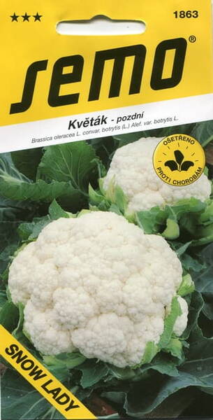 Cauliflower "Snow Lady" /100 g/