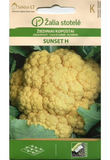 Cauliflower yellow "Sunset" F1