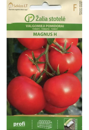 Tomaatti "Magnus" F1
