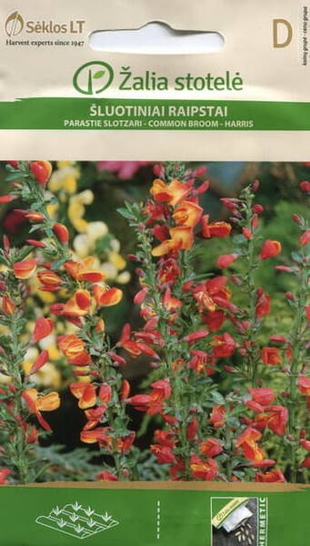 Luudpõõsas harilik Cytisus scoparius L.