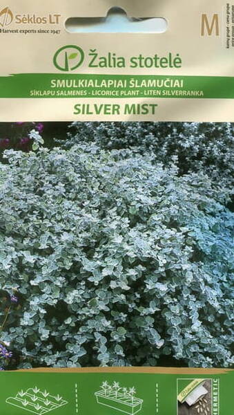 Viltleht "Silver Mist" (Natali käohõbe)