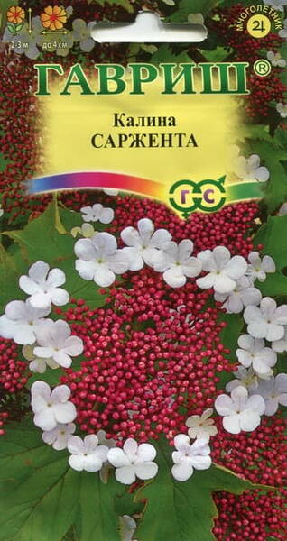 Калина Саржента (Viburnum sargentii)