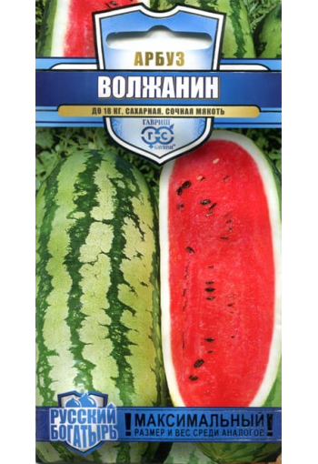 Vattenmelon "Volzhanin"