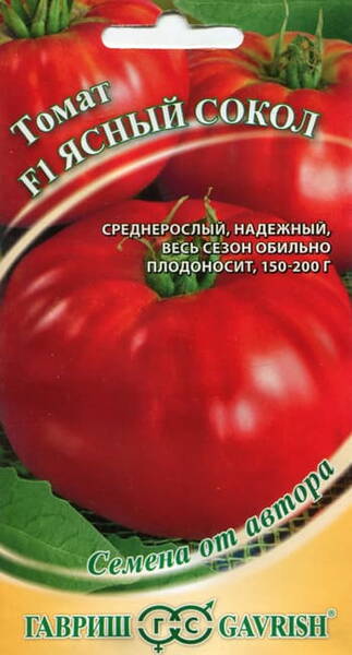 Tomato "Jasny Sokol" F1