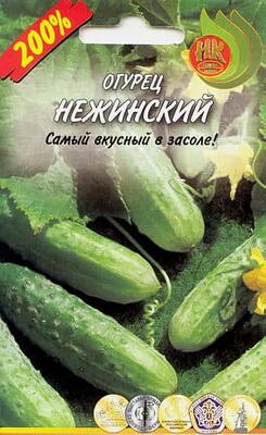 Cucumber "Nezhinsky"