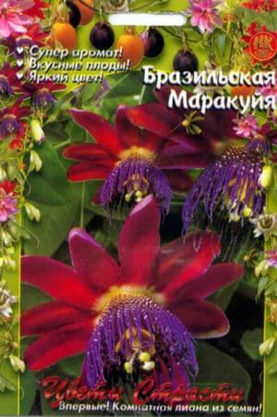 Пассифлора крылатая (маракуйя) Passiflora alata
