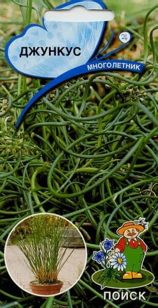 Thread Rush Spiralis