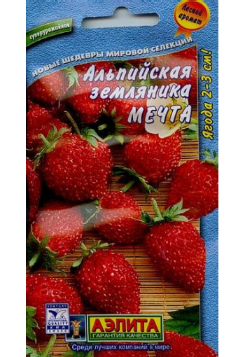 Alpine strawberry "Mechta"