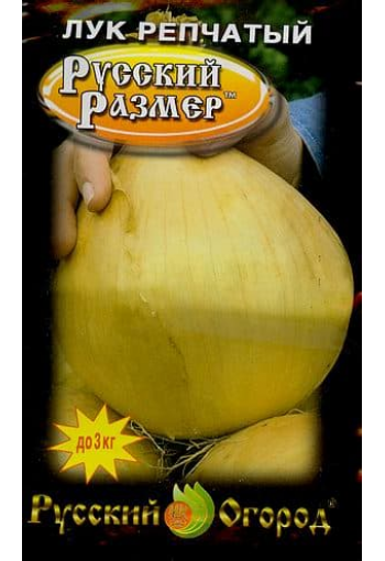 Salaatti sipuli "Russian Size XXL"