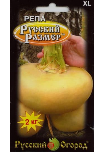 Turnip "Russky Razmer"