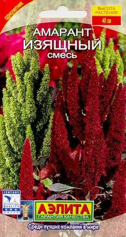 Elegant Amaranth seeds - buy in Europe