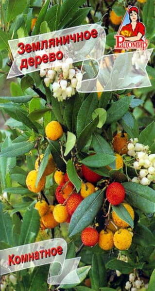 Земляничное дерево Arbutus unedo