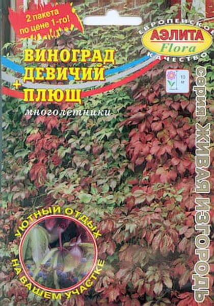 Metsviinapuu harilik + Luuderohi harilik (Parthenocissus quinquefolia + Hedera helix)